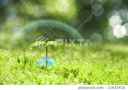 Ecology 21635418