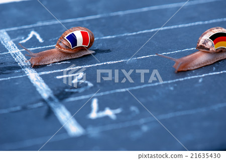 snails race metaphor about France against Germany 21635430
