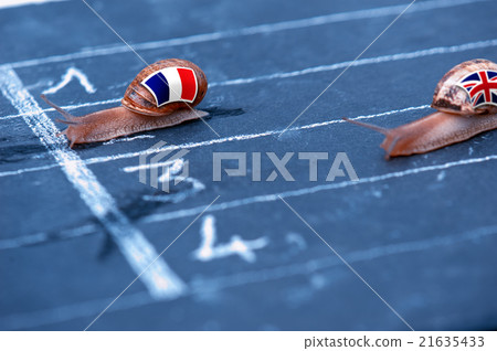 snails race metaphor about France against England snails race metaphor about France against England 21635433