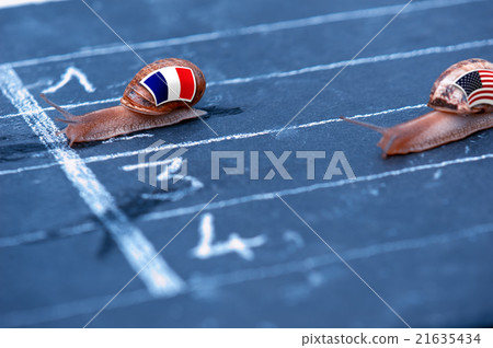 snails race metaphor about France against Usa 21635434