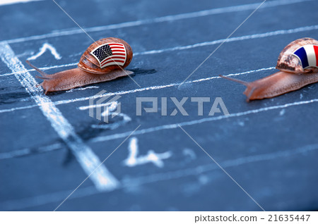 snails race metaphor about Usa against France 21635447