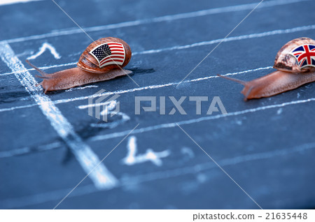 snails race metaphor about Usa against England 21635448