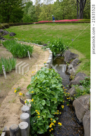 封裝在皇宮的Ninomaru花園的Ogawa 21635528