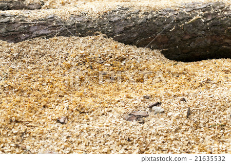 wood shavings. close-up wood shavings. close-up 21635532