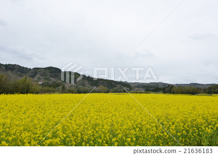 Yoroi Valley Vol.2的強姦花田 Yoroi Valley Vol.2的強姦花田 21636183