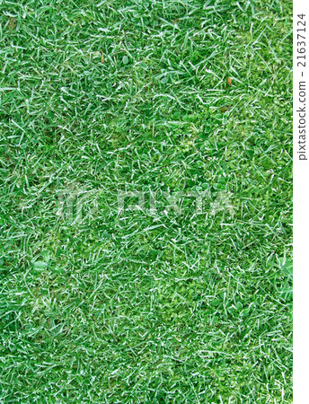 lawn texture lawn texture 21637124