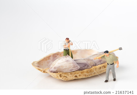 lumberman with peanut on white background lumberman with peanut on white background 21637141