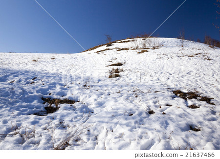 snow covered field  21637466