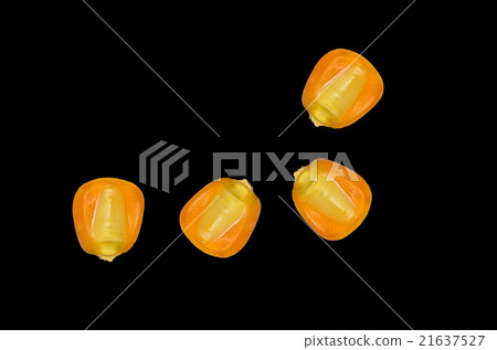 canned corn on black background canned corn on black background 21637527
