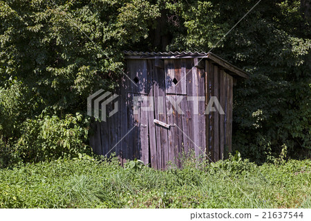 wooden toilet , park wooden toilet , park 21637544