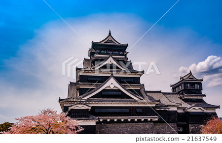 熊本城堡和櫻花 熊本城堡和櫻花 21637549