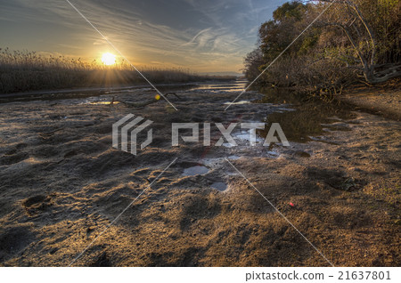 sun down at low tide river 21637801