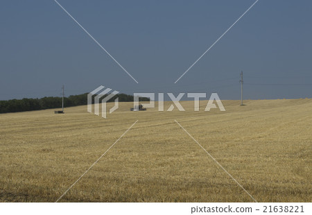 field during a season of summer harvesting field during a season of summer harvesting 21638221