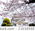 Cherry blossom viewing at Chiba Castle 21638568
