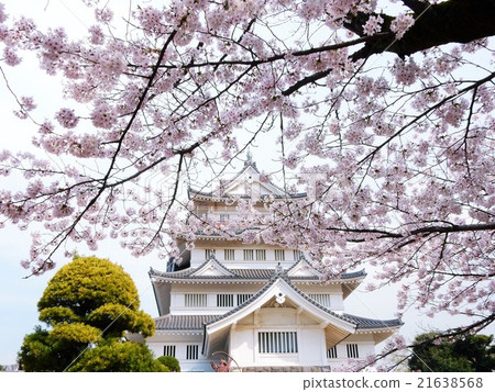 Cherry blossom viewing at Chiba Castle Cherry blossom viewing at Chiba Castle 21638568