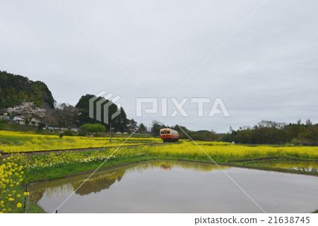 Kominato鐵路柴油車2在春天Satoyama Vol.2 Kominato鐵路柴油車2在春天Satoyama Vol.2 21638745