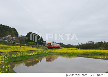 Kominato鐵路柴油車3春季Satoyama Vol.3 Kominato鐵路柴油車3春季Satoyama Vol.3 21638746