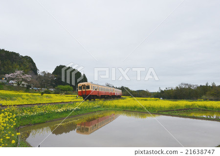 Kominato鐵路柴油車4在春天Satoyama 4 Kominato鐵路柴油車4在春天Satoyama 4 21638747