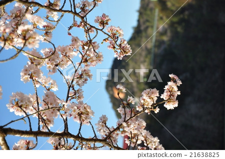 Spring's Enaki Gorge 21638825