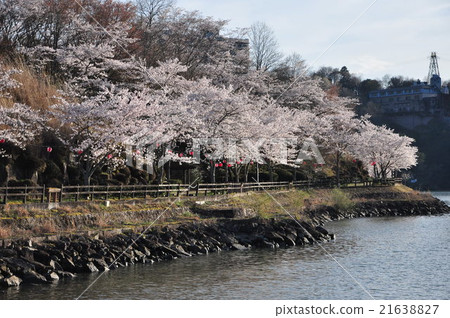 春天的Enaki峽谷 21638827