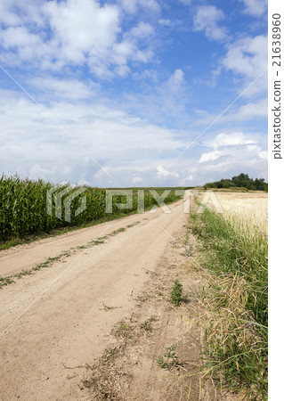 road in a field  21638960