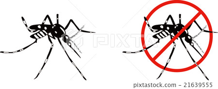 白紋伊蚊（Yab mosquito） 21639555