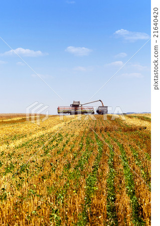 agricultural field cleaning agricultural field cleaning 21640420