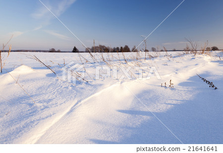 snow covered field   21641641