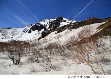 萬代山四月 21643628