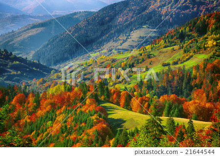 the mountain autumn landscape with colorful forest the mountain autumn landscape with colorful forest 21644544