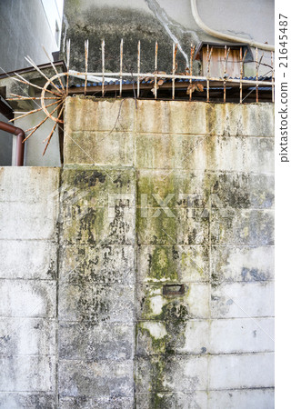 Retro squatting Retro squatting 21645487