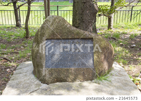 東京都千代田區第一市立初中出生地 21645573