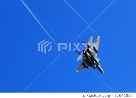 老鷹 鷹 戰鬥機 21645883