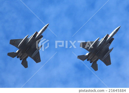 老鷹 鷹 戰鬥機 21645884