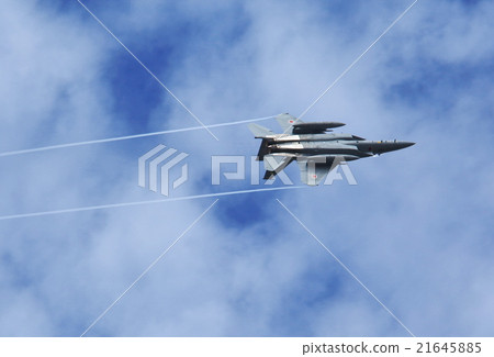 老鷹 鷹 戰鬥機 21645885