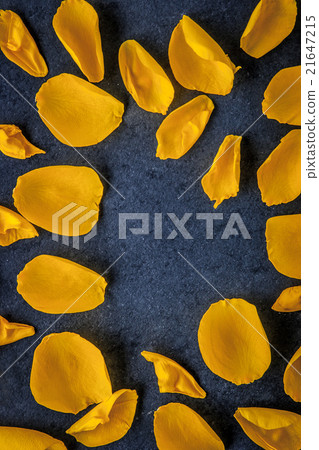 Frame of rose petals on the dark stone table Frame of rose petals on the dark stone table 21647215