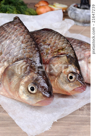 Fresh  crucian carp 21647239