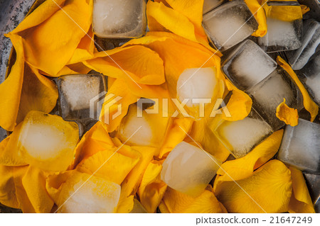 Rose petals with ice cubes top view Rose petals with ice cubes top view 21647249