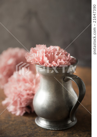 Carnation in the metal vase on the stone table 21647390