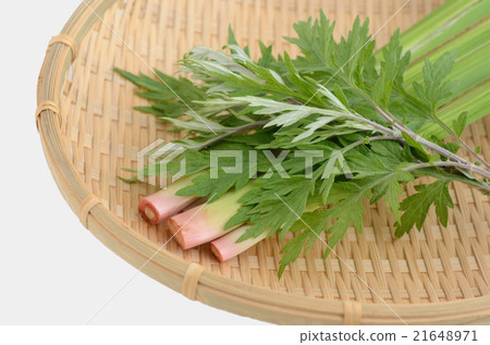 Shobu和艾蒿水的艾蒿 21648971