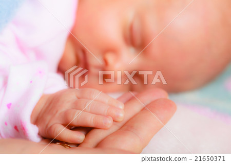 hand the sleeping baby girl in the palm of mother hand the sleeping baby girl in the palm of mother 21650371