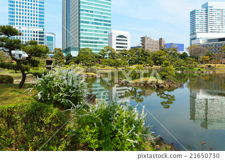 Old Shiba Rikyu Imperial Palace Garden and blue sky 21650730