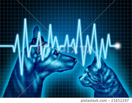 Pet Health Care Pet Health Care 21652297
