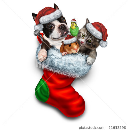 Pet Holiday Stocking Pet Holiday Stocking 21652298