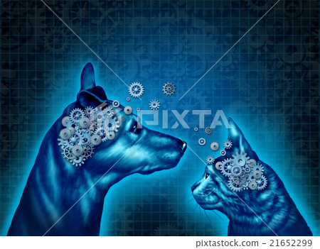 Pet Psychology Pet Psychology 21652299