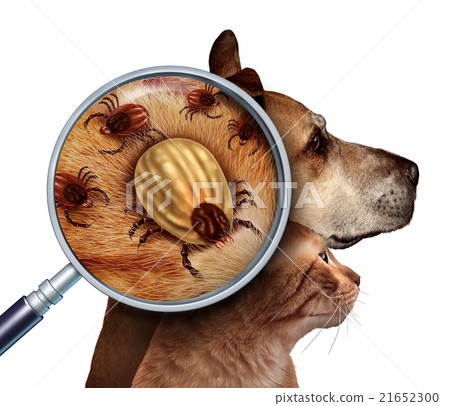 Pet Tick Pet Tick 21652300