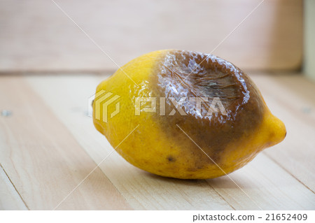 rotten lemon put on wooden table rotten lemon put on wooden table 21652409