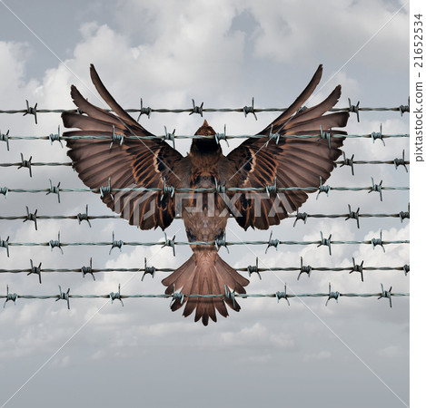 Restricted Freedom 21652534