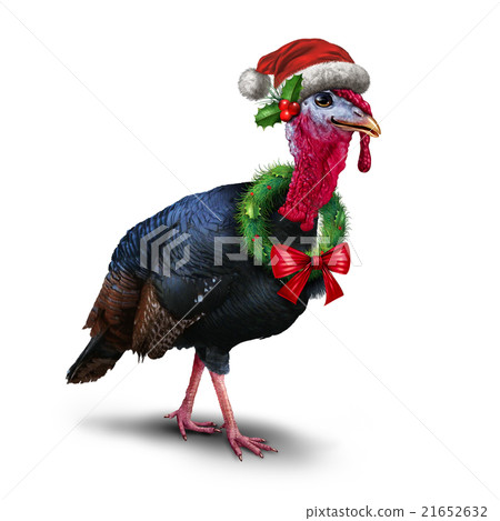 Seasonal Winter Turkey Seasonal Winter Turkey 21652632