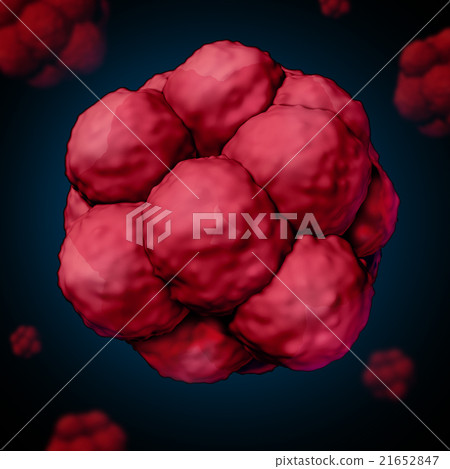 Stem Cell Concept Stem Cell Concept 21652847